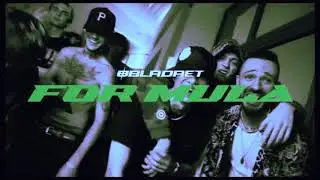 obladaet - for mula (slowed + reverb + lyrics)