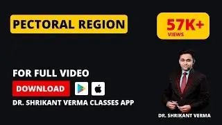 Anatomy of the Upper Limb: Exploring the Pectoral Region | Comprehensive Guide | Dr. Shrikant Verma
