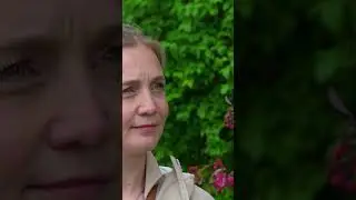 Ein NO-GO bei der Leinenführingkeit! 😲🐕