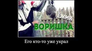 что делать если украли поп ит