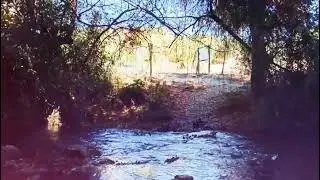 El rio de El Bosque