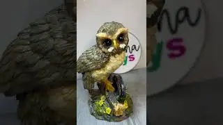 Owl #owl #shorts #bird