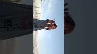 ТИХОЕ МЕСТО