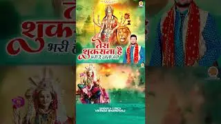 Tera Shukrana Hai | भरी है झोली मेरी #outnowbhajan #newbhajanmata #durgamatabhajan #newbhajan #short