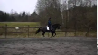 Theoemily1
