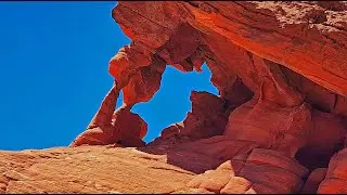 Bowl of Fire North | Detailed Life, Sandstone Formations | Lake Mead NRA, Nevada