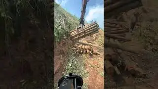 Driving a truck to transport logs is a skilled job, and those who load the logs are not lazy either