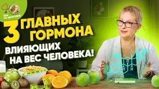 Как гормоны влияют на вес человека?⚡️