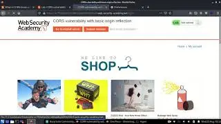lab cors vulnerability with basic origin reflection ( CORS EXPLAINED) | CyberWorldSec