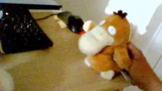 Pokémon: Psyduck vs Meowth