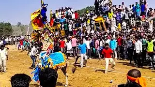 Bukkasagaram hori habba 2018 #Part_5 | Krishnagiri | Bull race | Atthu Thiruvizha | Jallikattu