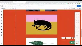 Adding and Removing Wix Chat in Wix | Wix Tutorial