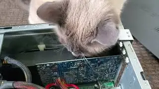 Trying to upgrade a Acer Aspire ATC 605 EB1G T series PC may need to get low profile GPU