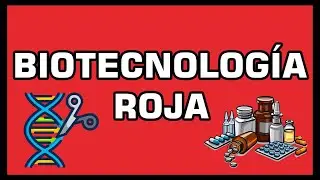 🔴 BIOTECNOLOGÍA ROJA | Biotecnología Humana y sus Aplicaciones
