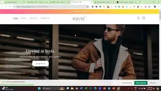 Shopify motion theme customization  Freelancing with Shopify in bangla