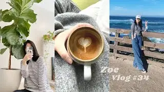 【Zoe vlog #34】简单生活记录 黑五购物分享 iPad Dyson吸尘器｜琴叶榕过冬｜拯救佛珠多肉｜感恩节假期游17 Mile Drive｜学习新技能 织毛衣