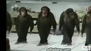 Кыш бабай Новый Год давай !