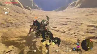 horse fight
