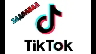 ЗАДОЛБАЛ ТИК ТОК