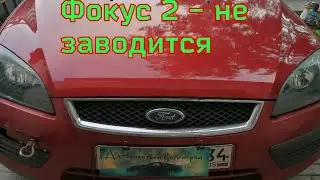 Ford Focus 2 won't start