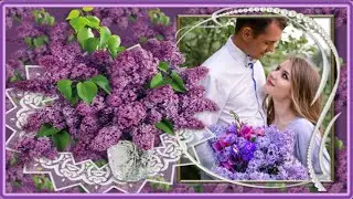 СИРЕНЬ ДО СРОКА РАСЦВЕЛА -  АЛЕКСЕЙ ПЕТРУХИН