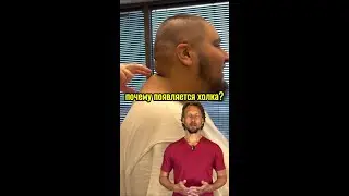 Почему появляется холка?