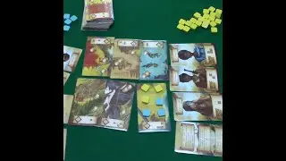 Правила настольной игры Во Сне и Наяву и мини дополнения 