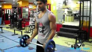 Barbell Curl
