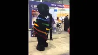 Слон отжигает на выставки Сиббилд город новосибирск