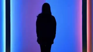 Carré Sinistre - Bilingual (BADiSUN Remix)