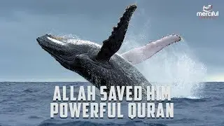 ALLAH SAVED HIM (HEART TOUCHING QURAN)
