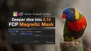 FCP Magnetic Mask in Color Finale: Step-by-Step Guide (2.13 update)