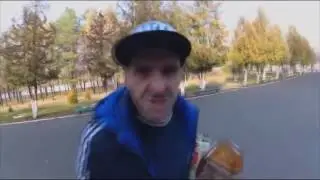 мопса крутое видео)