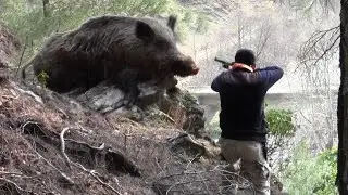 Необычные случаи на охоте!
