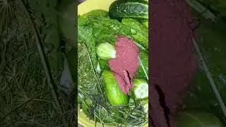 Самый простой способ огурцов #огурцы #засолка
