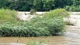 15.07.26 ст.Передовая Уруп большой