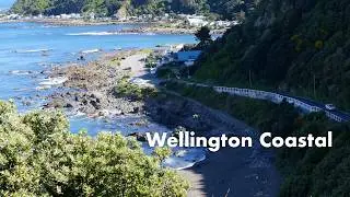 Wellington Coastal | Miramar Peninsula