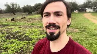 Morning Texas Food Forest Walk!!