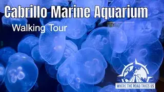 [4K] Cabrillo Marine Aquarium Tour