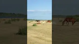 #россия