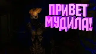 ПРИВЕТ МУДИЛА! [Monstrum]
