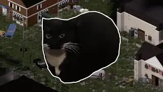 Maxwell the Cat in PROJECT ZOMBOID