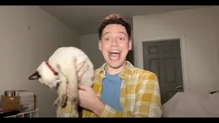 Close Friends + Highlights | Instagram
