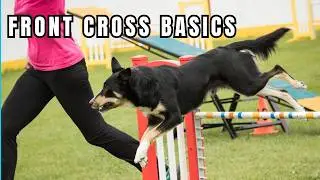 Front Cross Foundations: Master the Basics for Smooth Handling