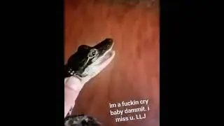 Xxxtentacion got scared