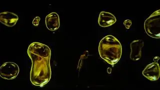 Multimedia show for Kyiv International Economic Forum 2019