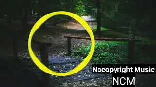 Luke Bergs - Tropical Soul safe music  (NoCopyright Music NCM) Best 10