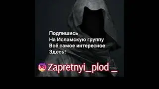 Секреты Утреннего Намаза #исламрелигиямираидобра #хадисы #пророк #книгакоран #отношения #молитва