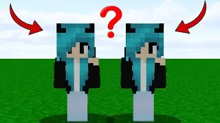 I found your half-brother's twin -Minecraft