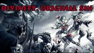 Divinity Original Sin. Забавный баг.